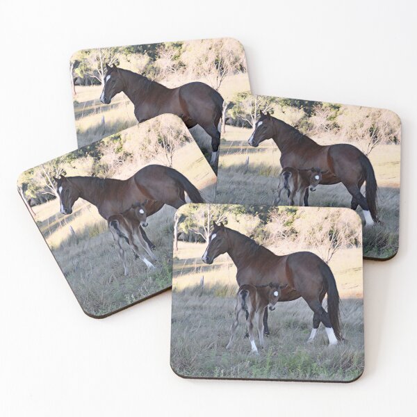 Item preview, PERUVIAN PASO, MARE AND FOAL designed and sold by Barbara Jean Photo Art And Design.