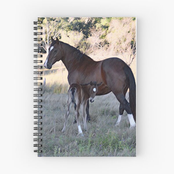 Item preview, PERUVIAN PASO, MARE AND FOAL designed and sold by Barbara Jean Photo Art And Design.