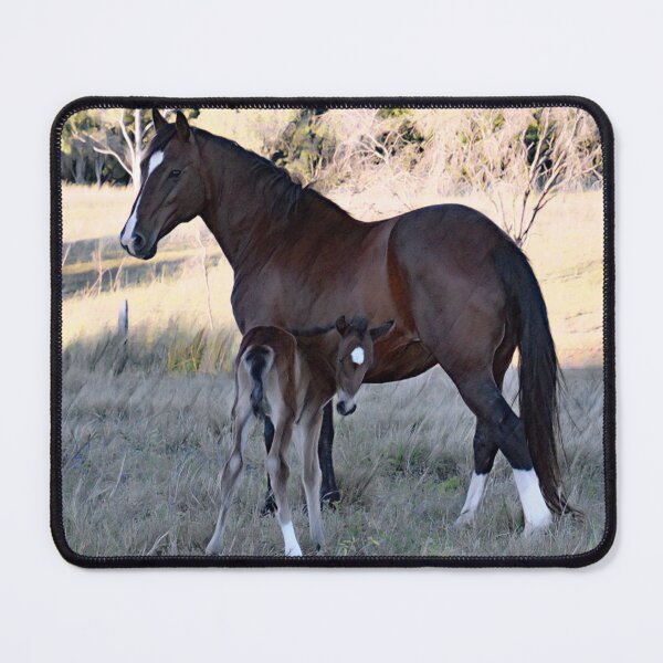 Item preview, PERUVIAN PASO, MARE AND FOAL designed and sold by Barbara Jean Photo Art And Design.
