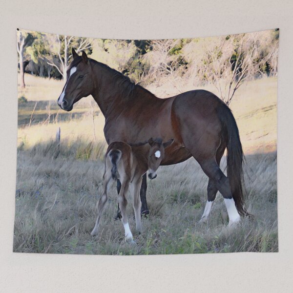 Item preview, PERUVIAN PASO, MARE AND FOAL designed and sold by Barbara Jean Photo Art And Design.