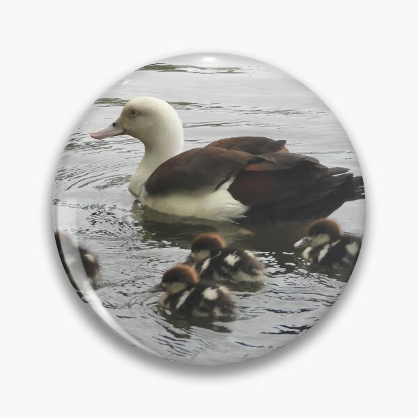 Item preview, Radjah Shelduck with ducklings designed and sold by Mark Grimsley.