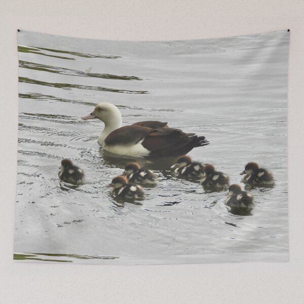 Item preview, Radjah Shelduck with ducklings designed and sold by Mark Grimsley.