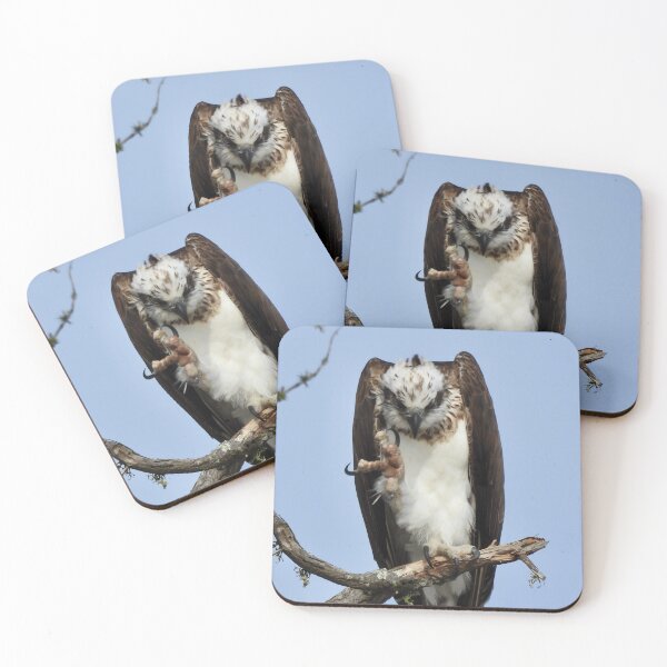Item preview,  Osprey waving at me  designed and sold by Mark Grimsley.