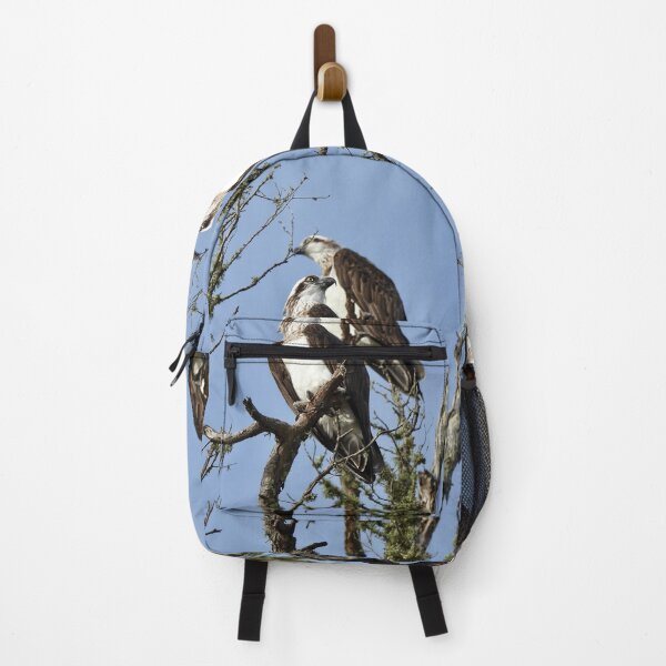 Item preview, Proud looking Ospreys designed and sold by Mark Grimsley.