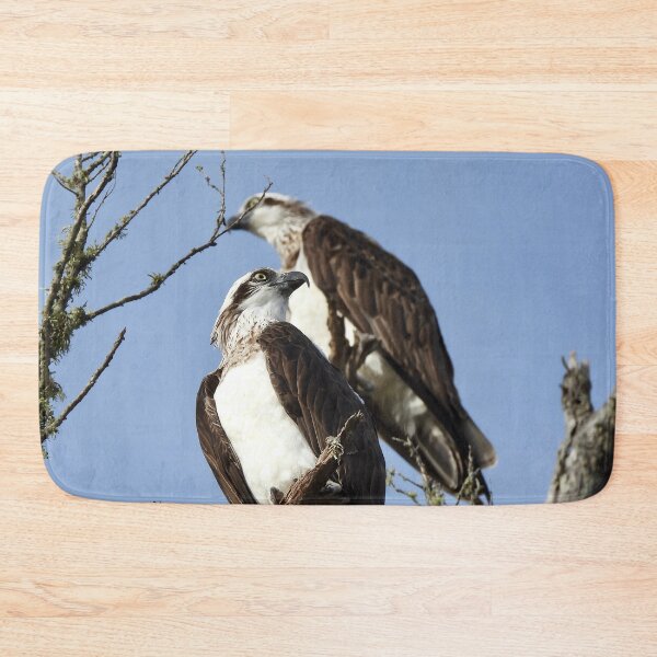 Item preview, Proud looking Ospreys  designed and sold by Mark Grimsley.
