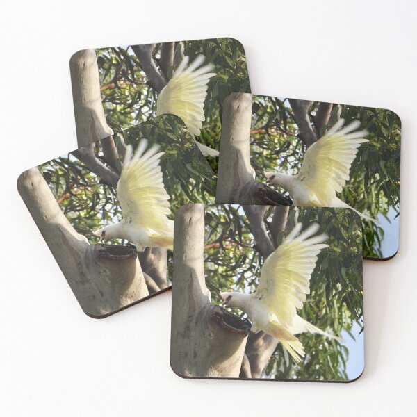 Item preview, Corella checking out nest  designed and sold by Mark Grimsley.