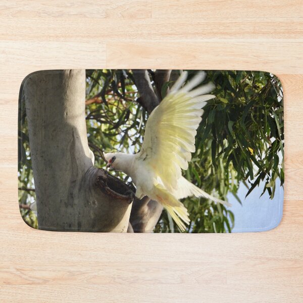 Item preview, Corella checking out nest  designed and sold by Mark Grimsley.