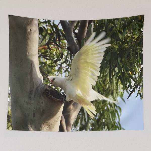 Item preview, Corella checking out nest  designed and sold by Mark Grimsley.