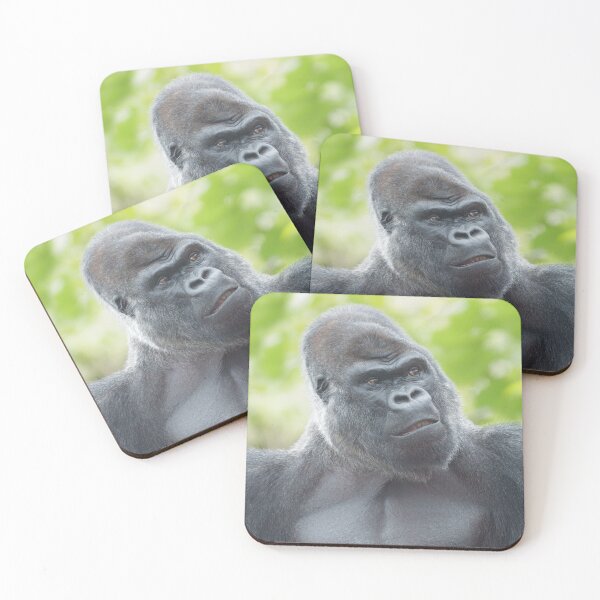 Item preview, A Silverback's Gaze designed and sold by rawshutterbug.