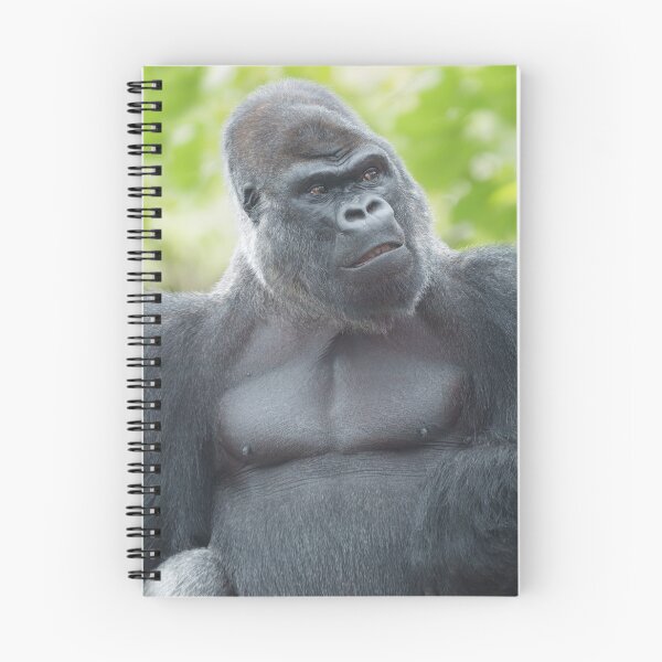 Item preview, A Silverback's Gaze designed and sold by rawshutterbug.