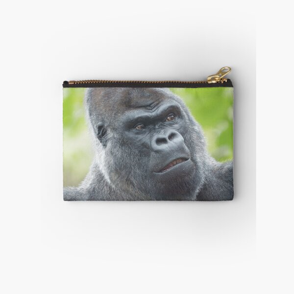 Item preview, A Silverback's Gaze designed and sold by rawshutterbug.