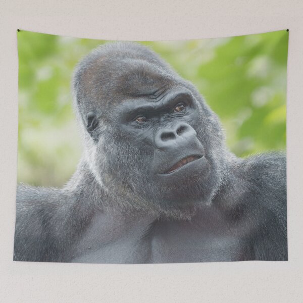 Item preview, A Silverback's Gaze designed and sold by rawshutterbug.