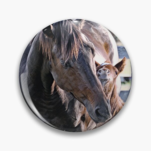 Item preview, THOROUGHBRED MARE AND FOAL, PHOTOGRAPHY BY BARB JEAN designed and sold by Barbara Jean Photo Art And Design.