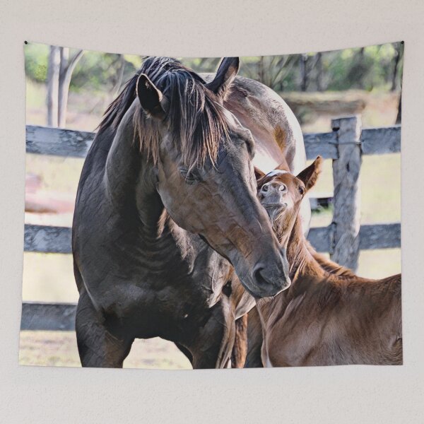 Item preview, THOROUGHBRED MARE AND FOAL, PHOTOGRAPHY BY BARB JEAN designed and sold by Barbara Jean Photo Art And Design.