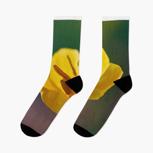 Item preview, tulip designed and sold by IgorKovalenko.