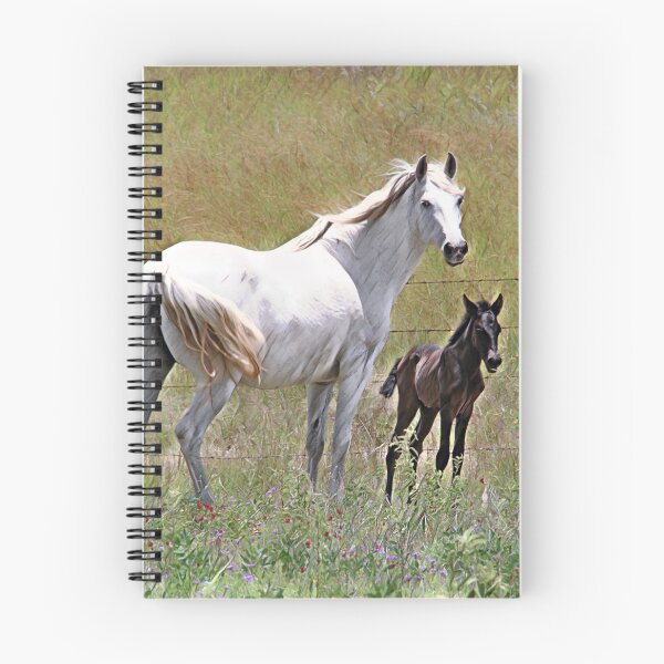 Item preview, WHITE ANDALUSIAN MARE AND FOAL, BEAUTIFULL DESIGNS FOR HORSE LOVERS designed and sold by Barbara Jean Photo Art And Design.
