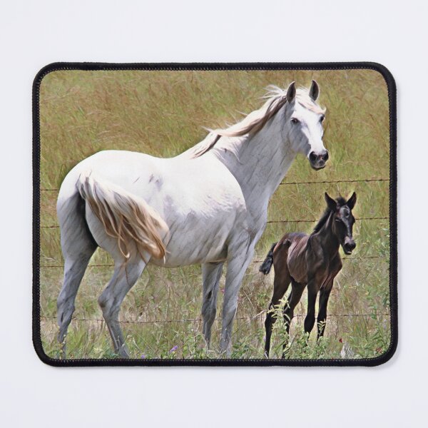 Item preview, WHITE ANDALUSIAN MARE AND FOAL, BEAUTIFULL DESIGNS FOR HORSE LOVERS designed and sold by Barbara Jean Photo Art And Design.