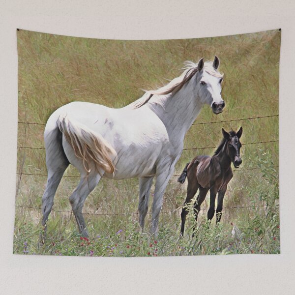 Item preview, WHITE ANDALUSIAN MARE AND FOAL, BEAUTIFULL DESIGNS FOR HORSE LOVERS designed and sold by Barbara Jean Photo Art And Design.