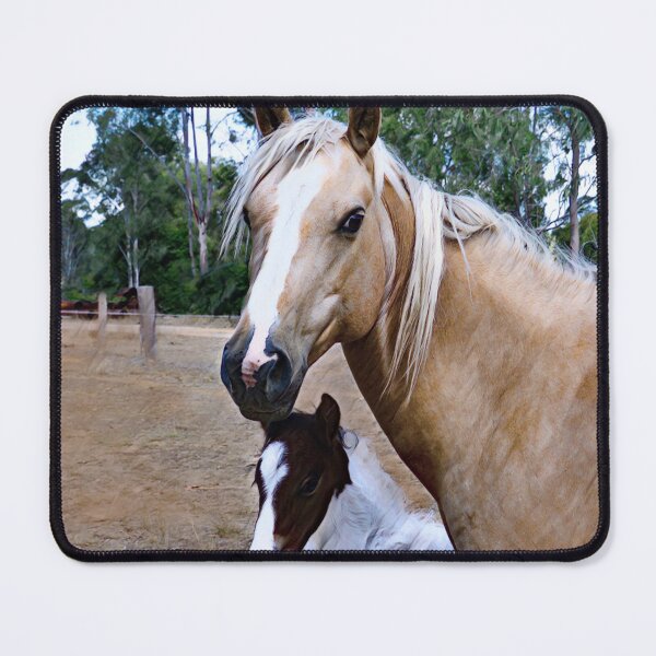 Item preview, BEAUTIFUL PALOMINO MARE AND FOAL,  designed and sold by Barbara Jean Photo Art And Design.