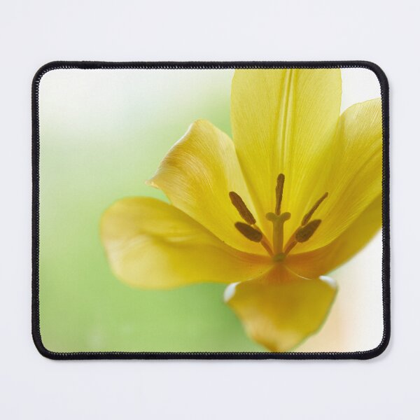 Item preview, Tulip flover designed and sold by IgorKovalenko.
