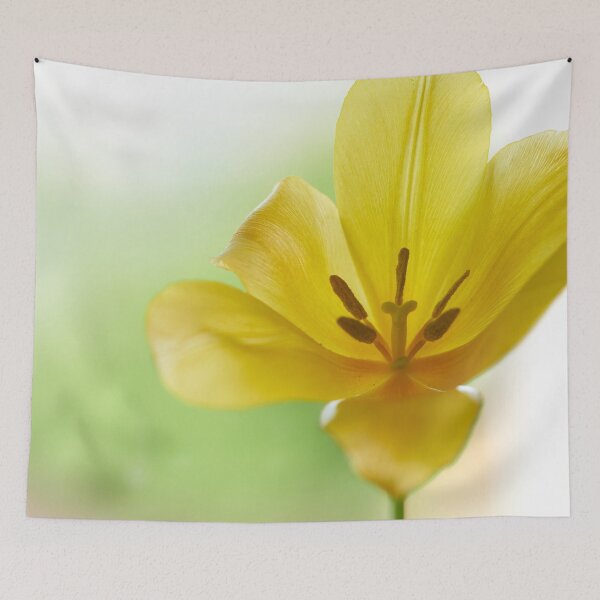 Item preview, Tulip flover designed and sold by IgorKovalenko.