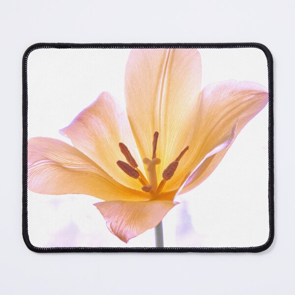 Item preview, Tulip flover designed and sold by IgorKovalenko.