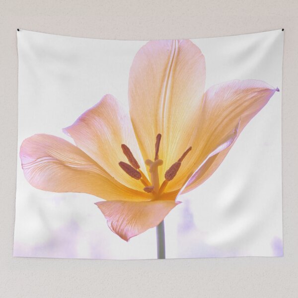 Item preview, Tulip flover designed and sold by IgorKovalenko.