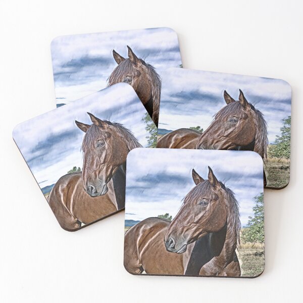 Item preview, BIG BOY, BANJO, HORSE PHOTOGRAPHY BY BARBS designed and sold by Barbara Jean Photo Art And Design.