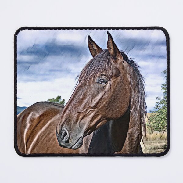 Item preview, BIG BOY, BANJO, HORSE PHOTOGRAPHY BY BARBS designed and sold by Barbara Jean Photo Art And Design.