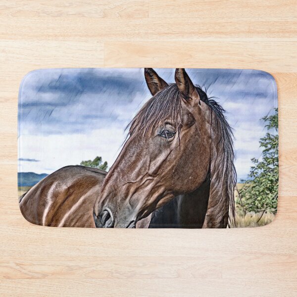 Item preview, BIG BOY, BANJO, HORSE PHOTOGRAPHY BY BARBS designed and sold by Barbara Jean Photo Art And Design.