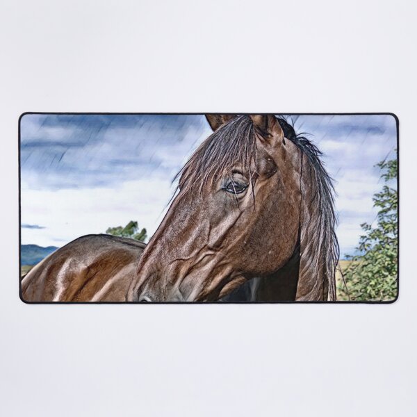 Item preview, BIG BOY, BANJO, HORSE PHOTOGRAPHY BY BARBS designed and sold by Barbara Jean Photo Art And Design.