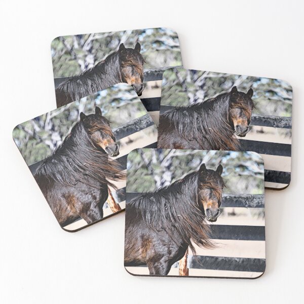 Item preview, BUNDY THE BRUMBY STALLION, HORSE DESIGNS designed and sold by Barbara Jean Photo Art And Design.