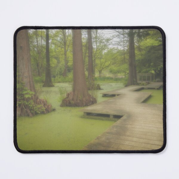Item preview, Bald cypresses designed and sold by kohlenjunge.