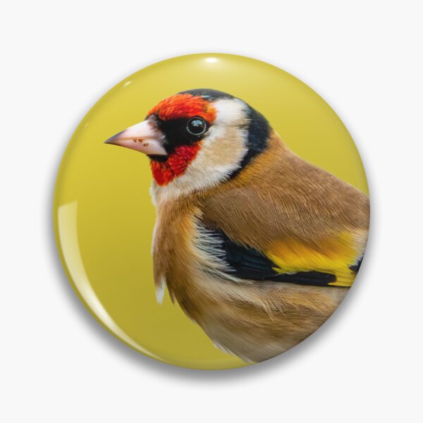 Item preview, GoldFinch  designed and sold by Dalyndigital Photography.