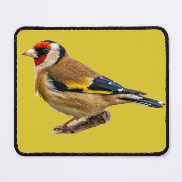 Item preview, GoldFinch  designed and sold by Dalyndigital Photography.