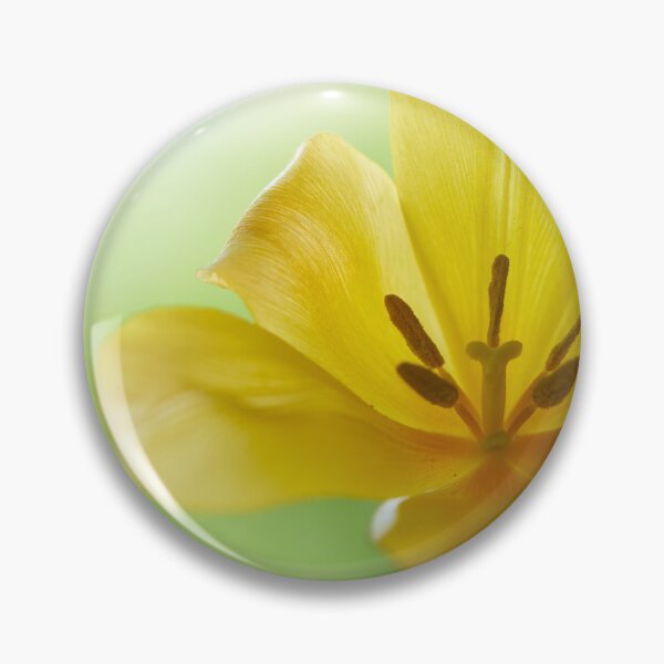Item preview, Tulip flover designed and sold by IgorKovalenko.