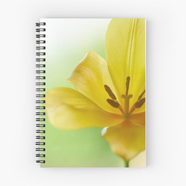 Item preview, Tulip flover designed and sold by IgorKovalenko.