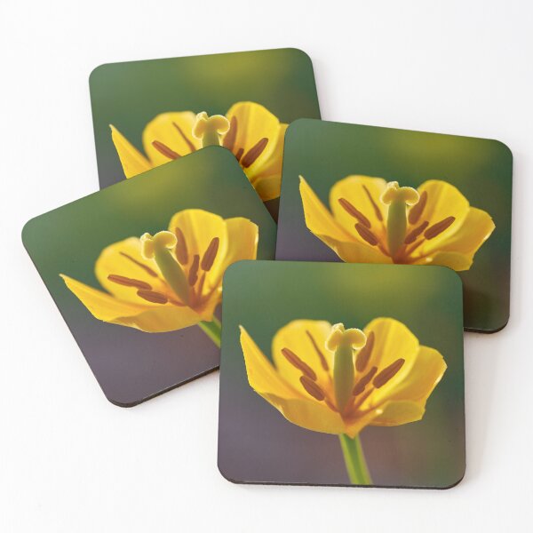Item preview, Tulip Flover designed and sold by IgorKovalenko.
