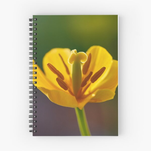 Item preview, Tulip Flover designed and sold by IgorKovalenko.