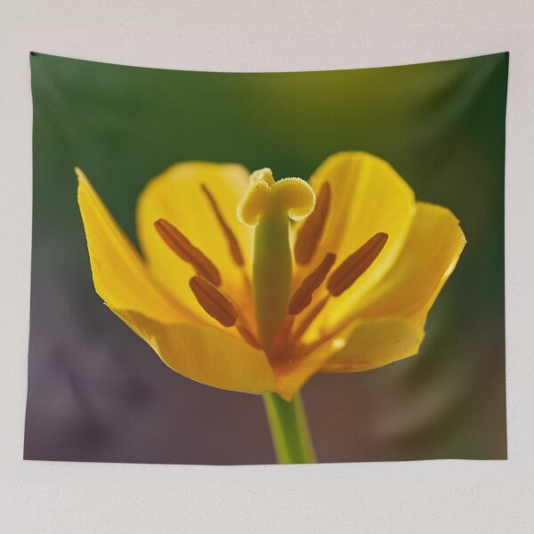 Item preview, Tulip Flover designed and sold by IgorKovalenko.