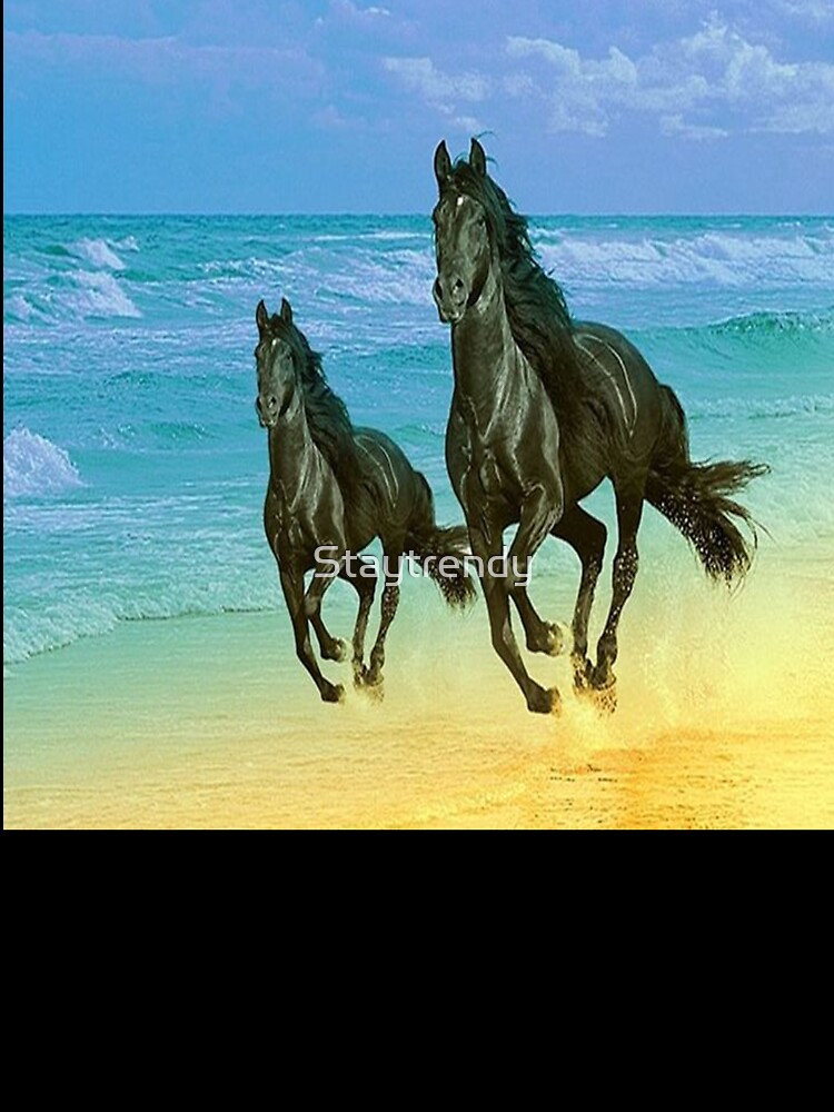 Black horse  Horses, Pretty horses, Black horses