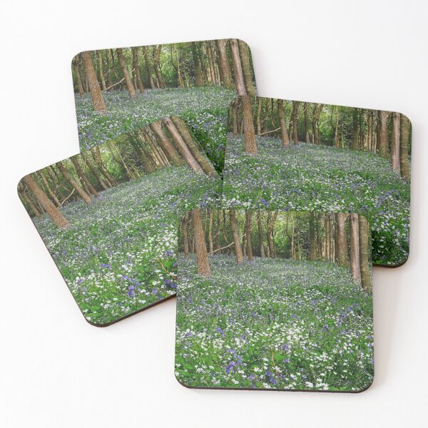 Item preview, Bluebell and Wildflower Woodland in Northamptonshire designed and sold by Martyn R Arnold Fine Art Nature & Landscape Photography.