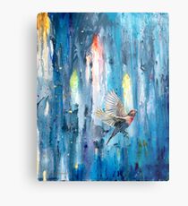 Lux Nova Metal Print