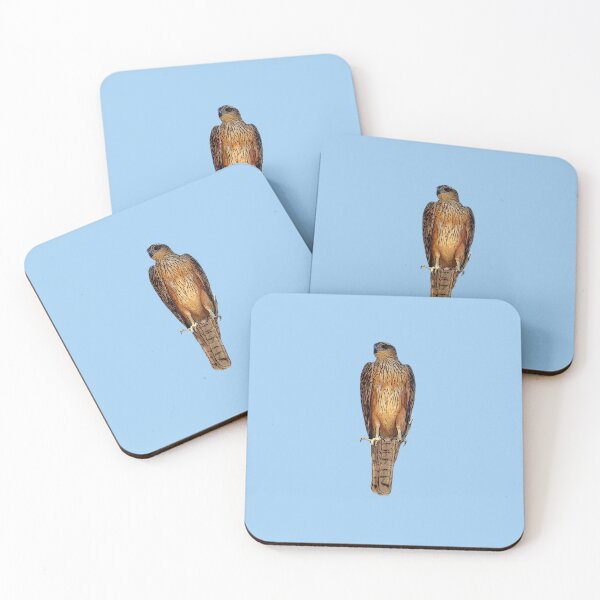 Item preview, Red Goshawk Color Design  designed and sold by designsasstultd.