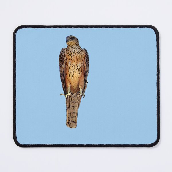 Item preview, Red Goshawk Color Design  designed and sold by designsasstultd.