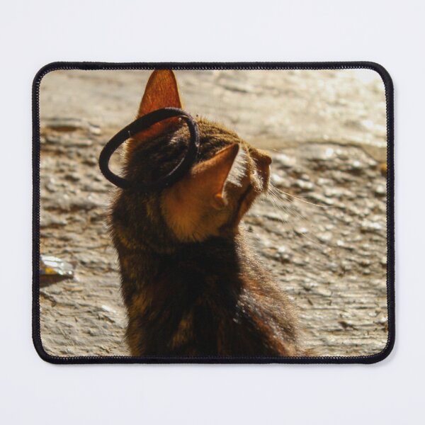 Item preview, Kitten with a crown designed and sold by Jimbruh.