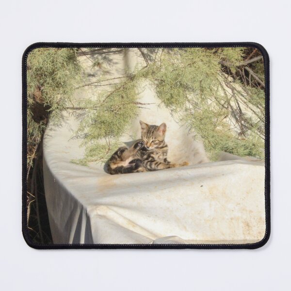 Item preview, Kitten on a boat designed and sold by Jimbruh.