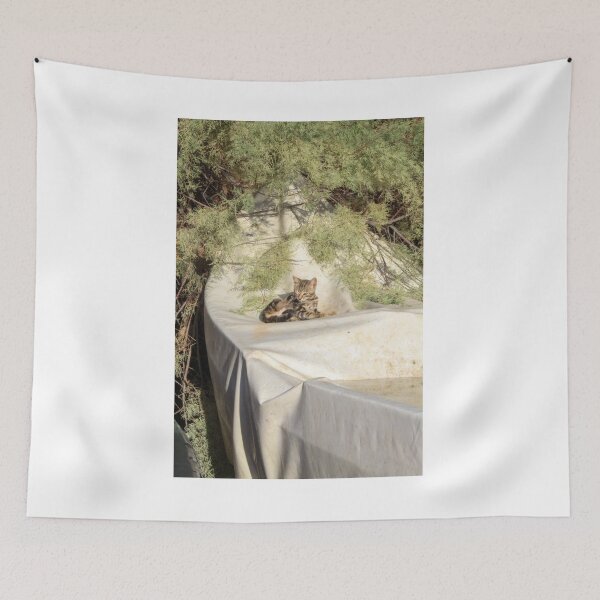 Item preview, Kitten on a boat designed and sold by Jimbruh.