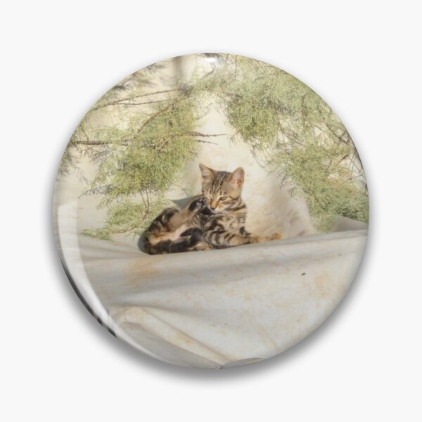 Item preview, Kitten on a boat designed and sold by Jimbruh.
