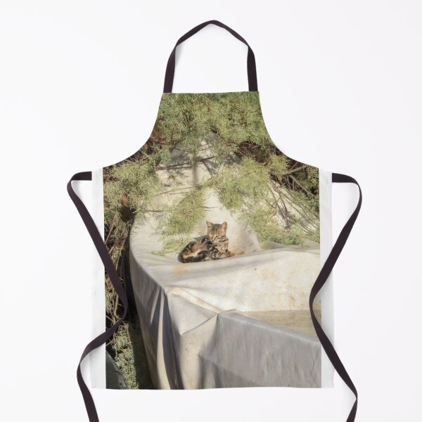Item preview, Kitten on a boat designed and sold by Jimbruh.